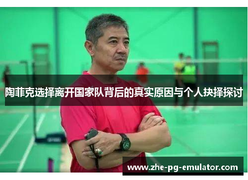 陶菲克选择离开国家队背后的真实原因与个人抉择探讨