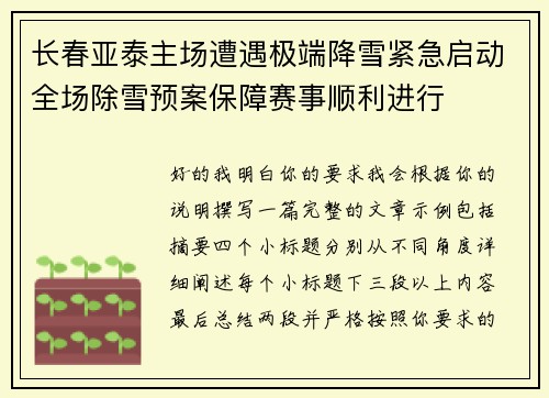 长春亚泰主场遭遇极端降雪紧急启动全场除雪预案保障赛事顺利进行